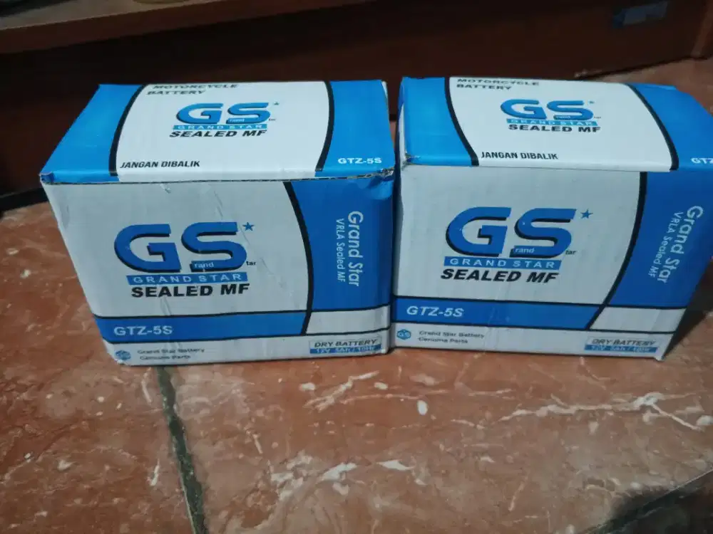 Aki Motor GTZ5s GS*