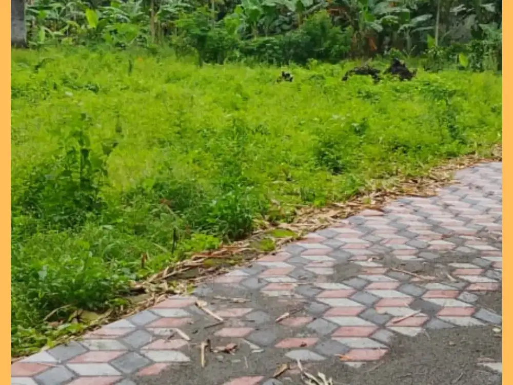 Tanah Jogja Kost Area Kampus UII Kaliurang SHM Pekarangan