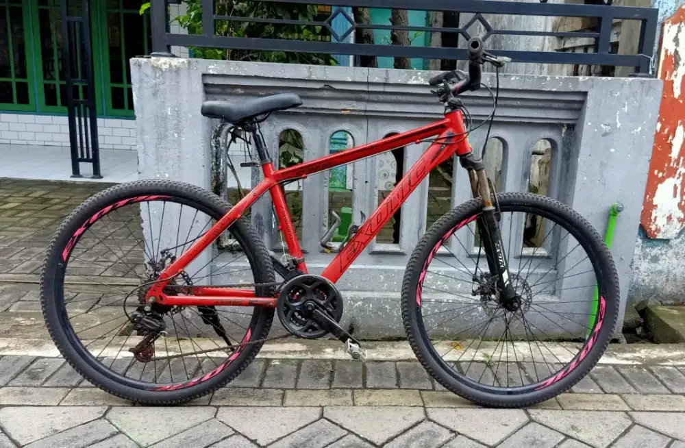 Mtb exotik uk 26