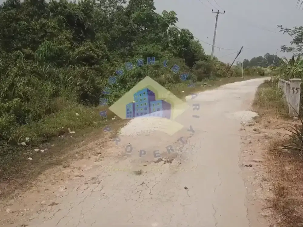 Dijual Tanah di Citeras, Rangkasbitung, Lebak - Banten.