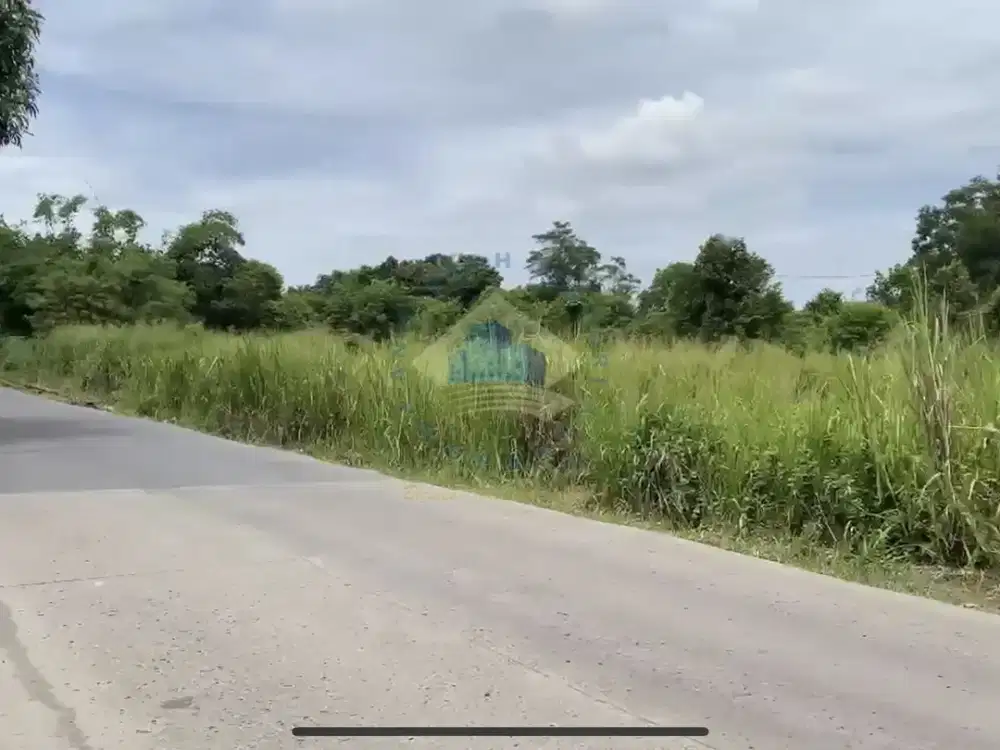 Di jual Tanah di jl raya singabangsa Tenjo - Bogor