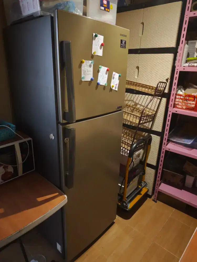 kulkas jumbo inverter 2pintu