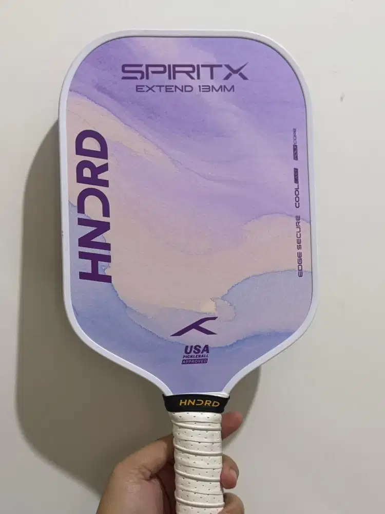 raket pickle bundling bola baru