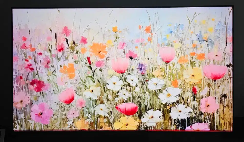 TV TLC Mini-LED 55inch