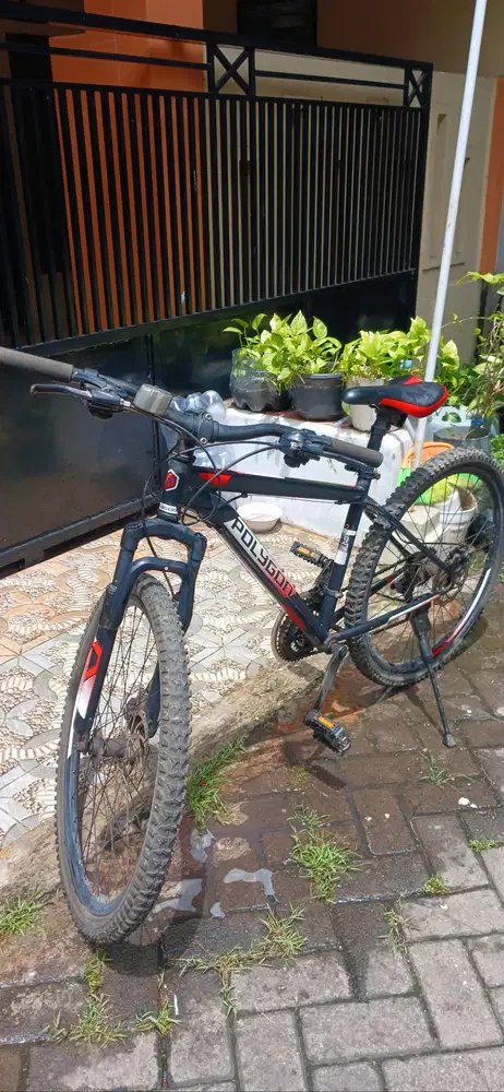 Polygon Monarch 2018