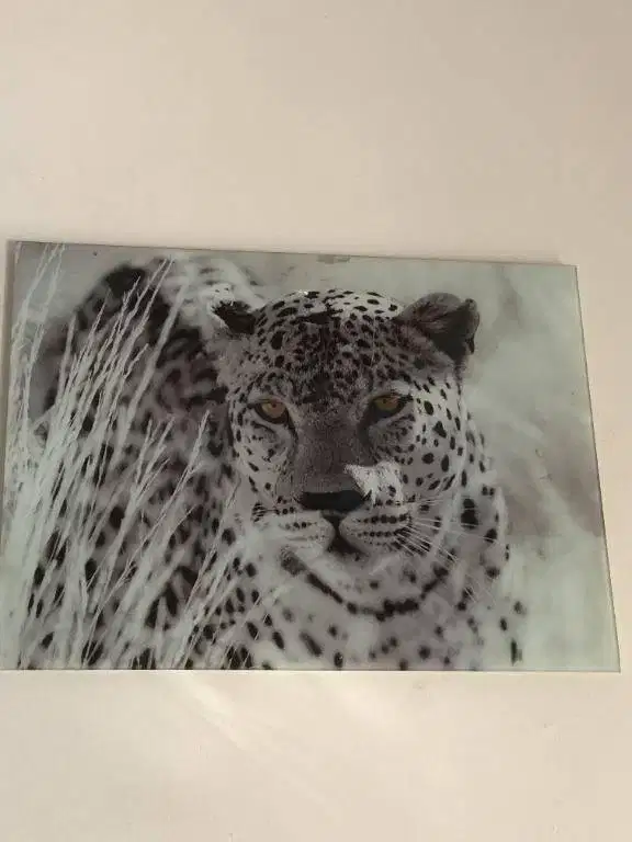 Pajangan Dinding Macan Leopard Kaca Informa 80x60 Cm