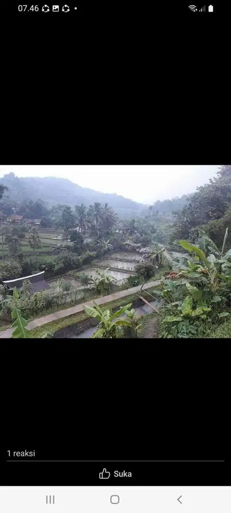 Dijual kolam ikan arus deras