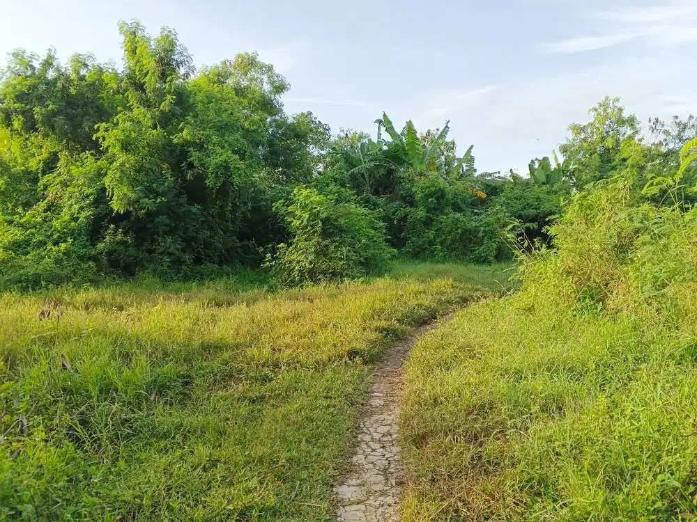 Jual Tanah Dekat Jalan Raya Cocok Untuk Gudang, Pom bensin, Usaha