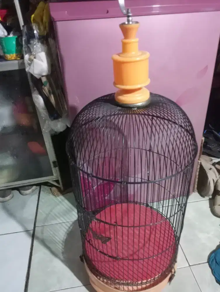 Pintu tengah ram tebal tebok pvc mulus no karat