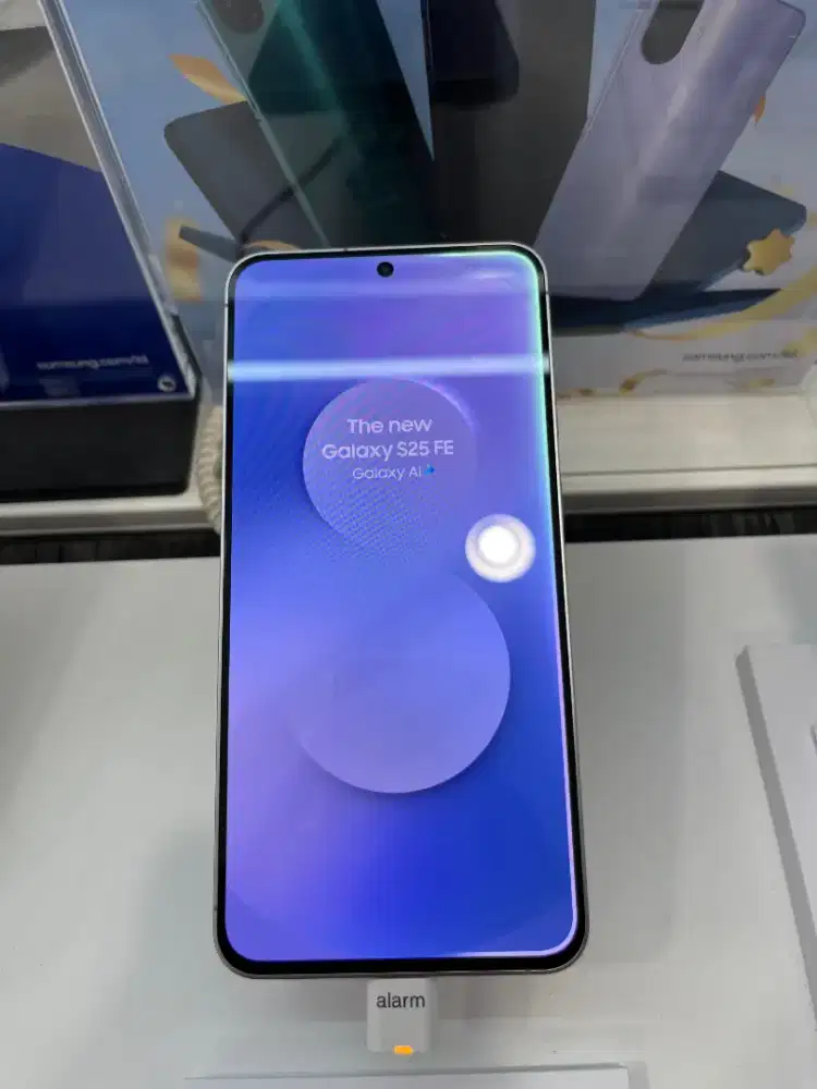 Samsung Galaxy S25 FE