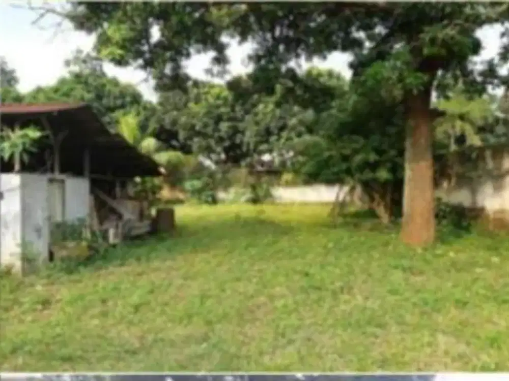 Tanah Harga Murah NJOP di Pejaten Timur Jaksel JS-17317