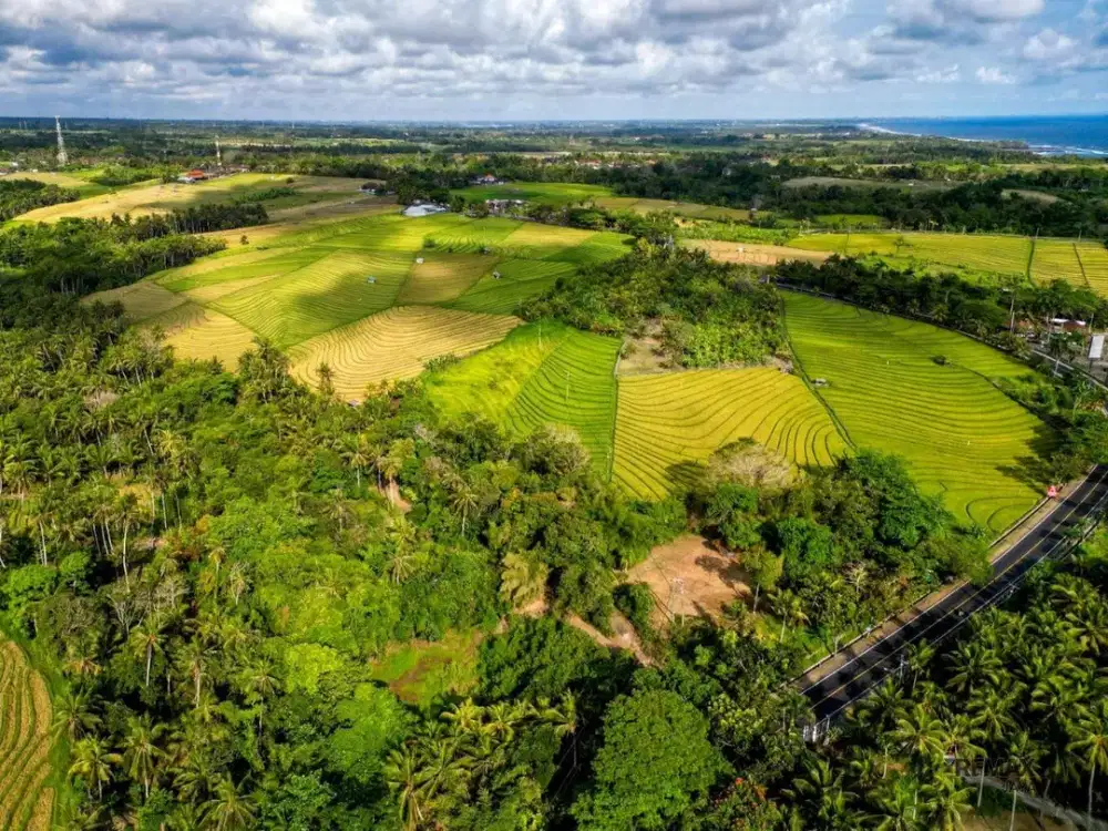 Tanah 37 Are Dekat Pantai Soka Dijual, di Tabanan