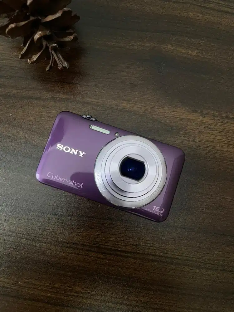 SONY CYBERSHOT WX30