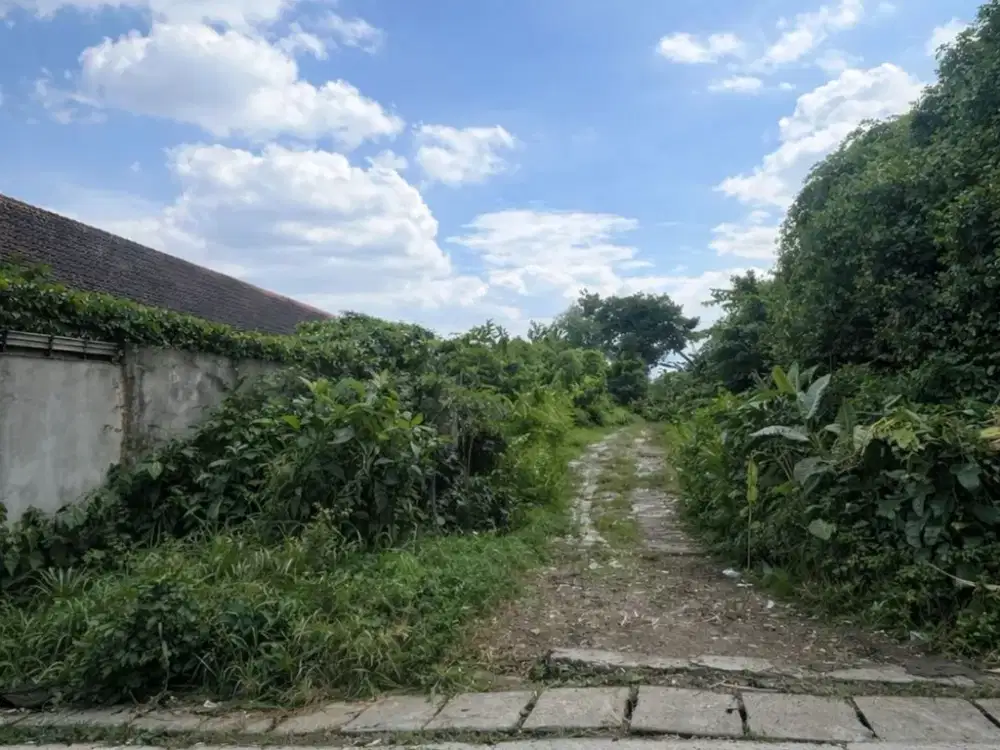 Dijual Cepat Tanah di Pejanten Barat Jakarta Selatan