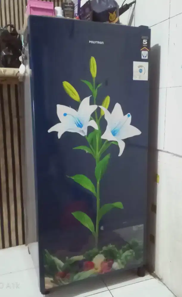 kulkas Polytron seri 187