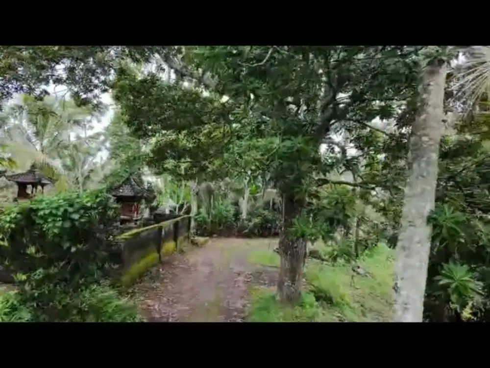 Tanah subur Sertifikat Hak Milik berisi pohon buah2an