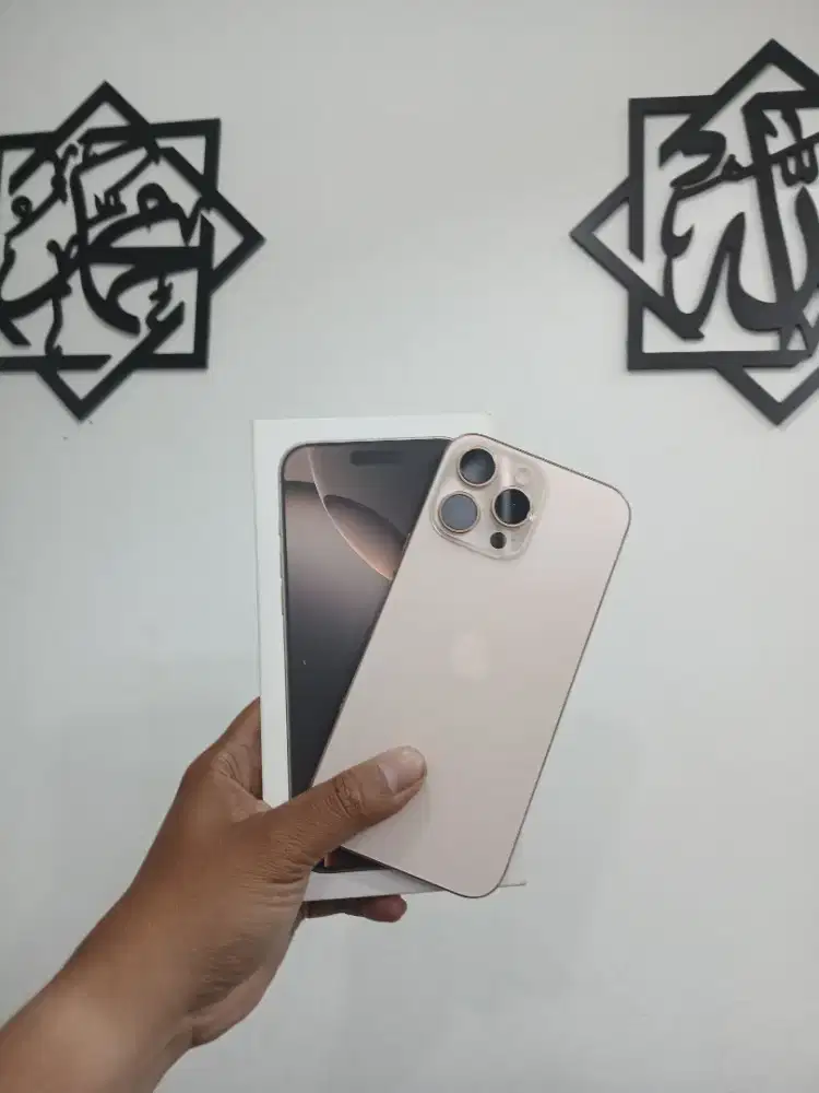 16 promax 256 ibox BH 100%