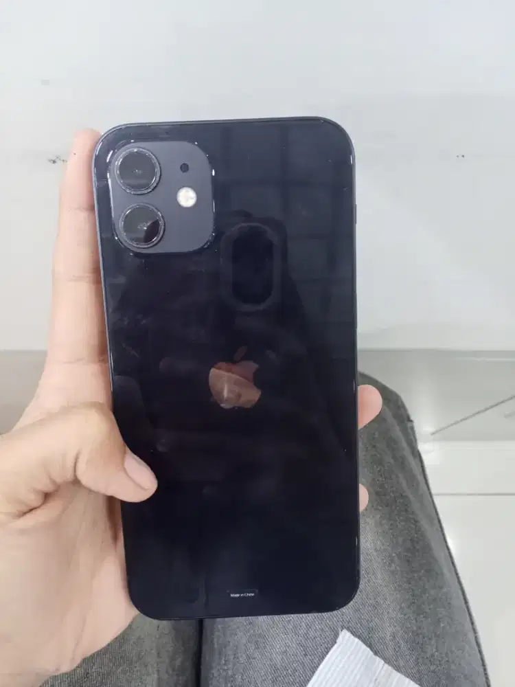 iPhone 12 internal 256