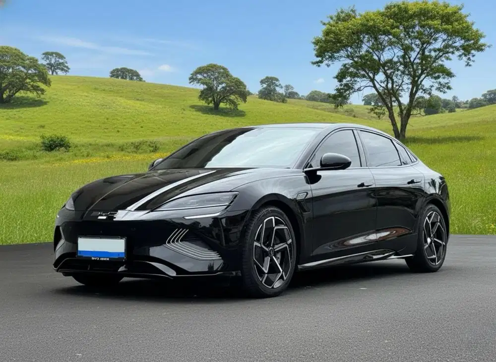 BYD SEAL Premium 4x2 At 2024 km +/- 152