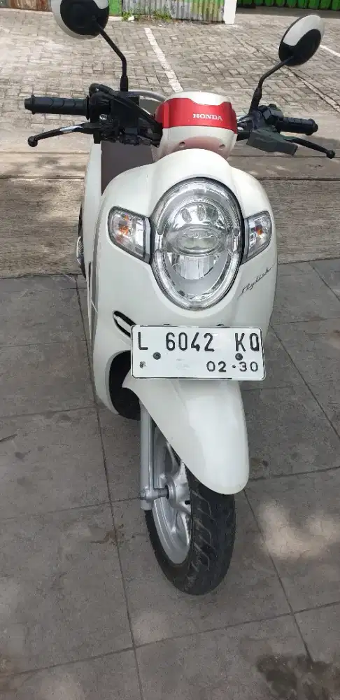Scoopy Stylish th 2020 mulus pool pjk hidup