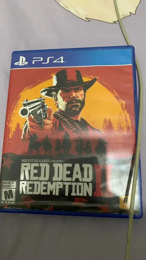 Kaset PS4 RDR2 (Red Dead Redemption)