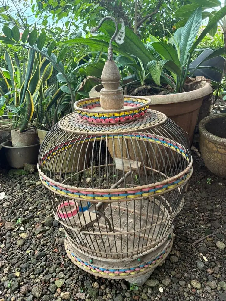 Sangkar Kandang Deruk, Derkuku, Puter, Perkutut