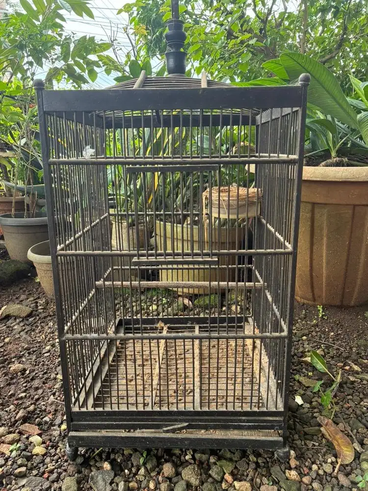 Kandang Sangkar Burung Puter, Deruk, Derkuku, Perkutut atau lainnya