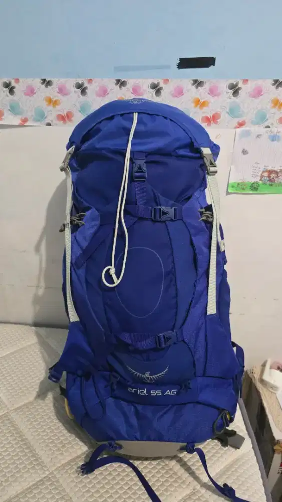 Carriel Osprey Ariel 55 anti gravity