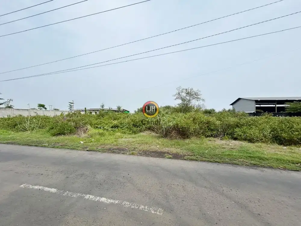 Kavling di Kaliwungu Kendal Jawa Tengah