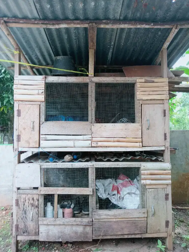 Kandang ayam kondisi aman