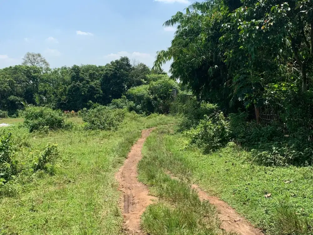 Investasi Menarik! Dijual Tanah Akses Kontainer di Cikesual, Serang