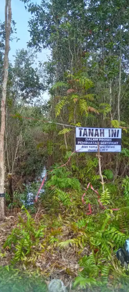 Dijual Tanah di Barito Kuala