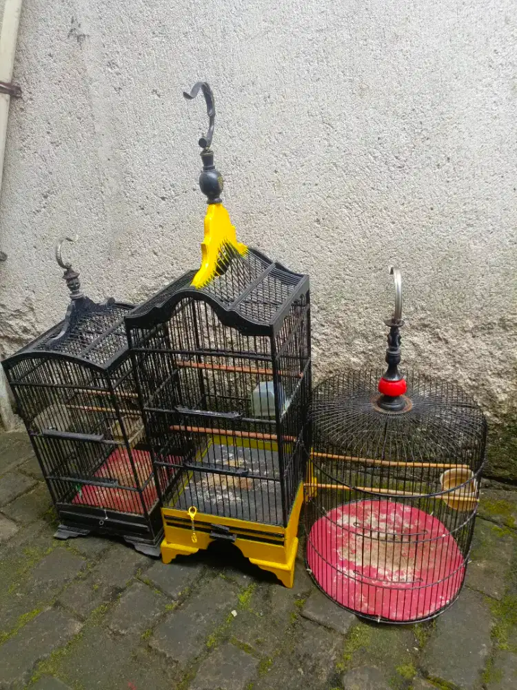 Kandang kecil borongan