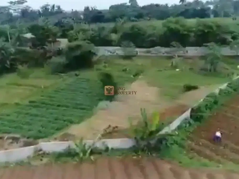 Tanah Produktif, Strategis, Cocok Untuk Komplek Perumahan Luas 6 Hektar di Bogor – Cocok Sebagai Hotel, Pertanian & Perumahan