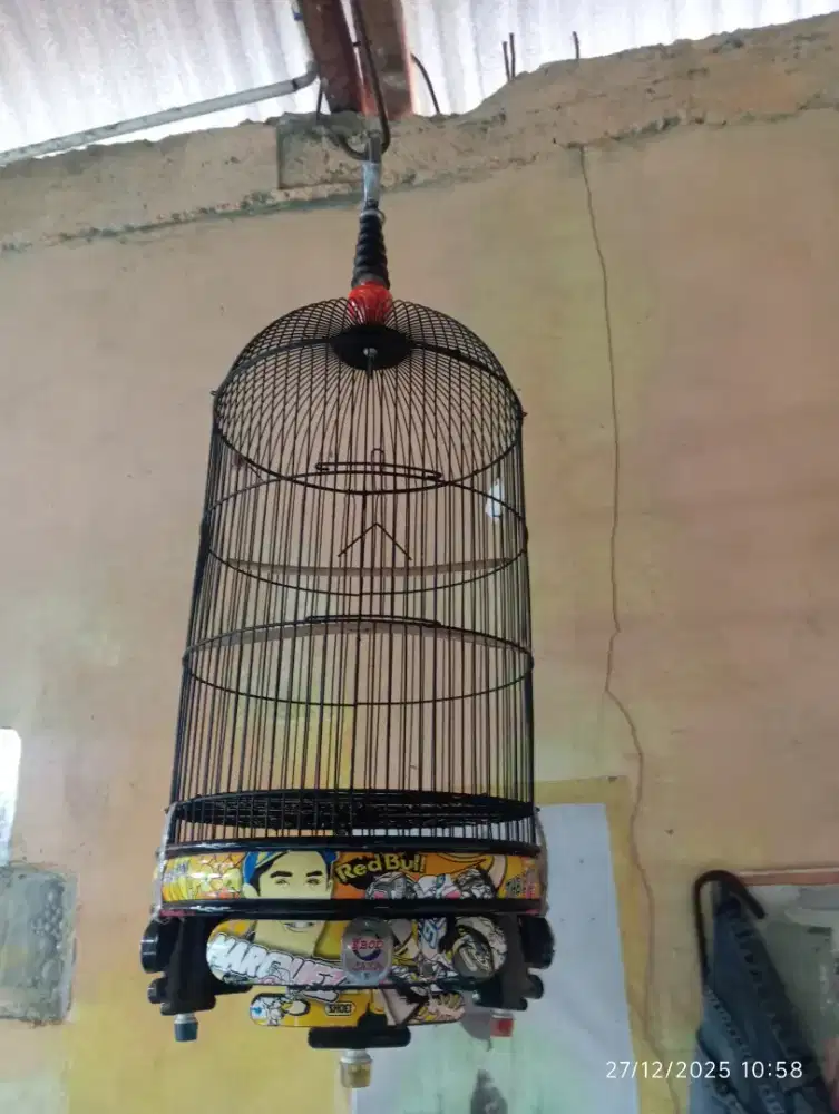 Sangkar lobet.tebok fiber.hrg nego