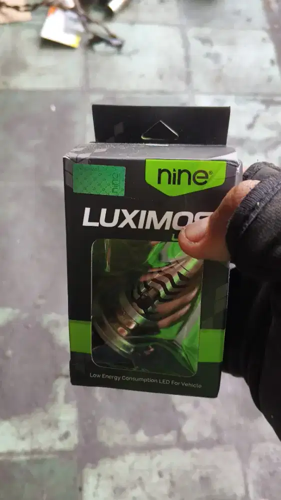 Sipion jalu dan lampu