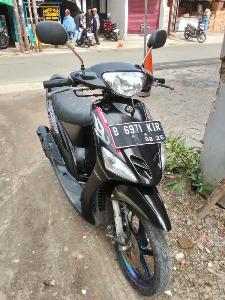 Mio halus mulus skli