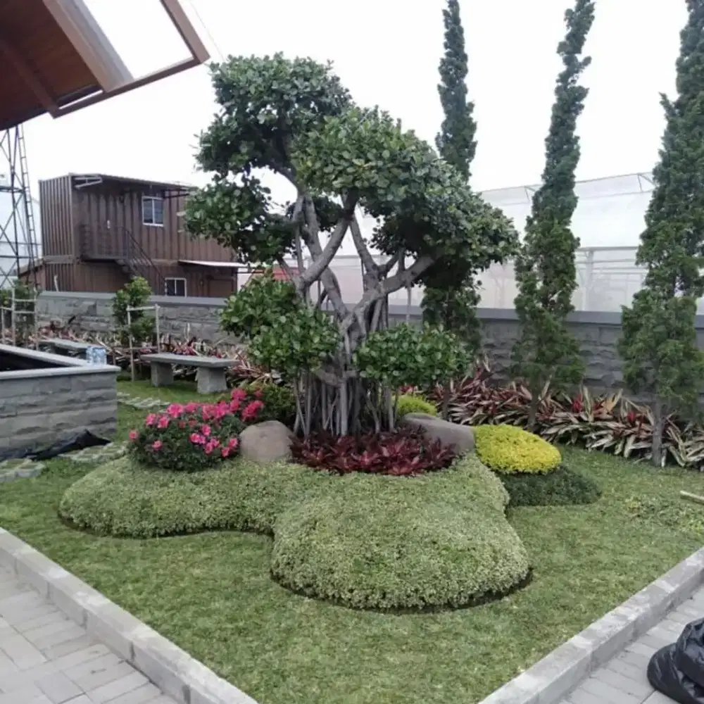 Jasa pembuatan Taman bonsai taman Korea taman Kering dll #7