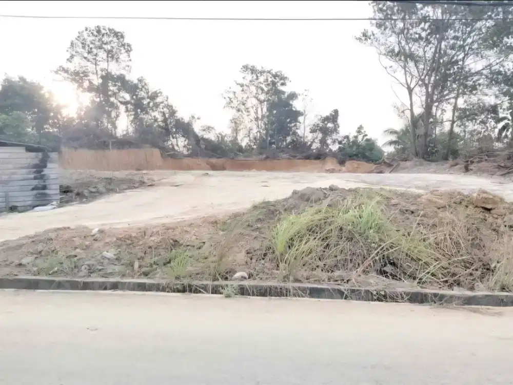 Jual Tanah Murah Di Kalimantan Timur Berau , Pinggir Jalan JL Albina