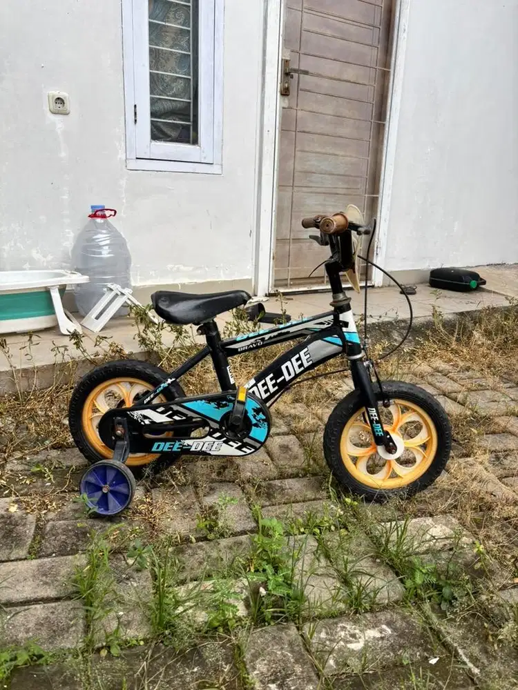 Sepeda anak 2-6 tahun