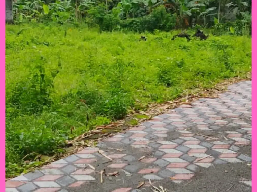 Tanah Jogja Kost Area Kampus UII Kaliurang SHM Pekarangan