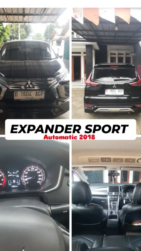 Expander sport matic 2018