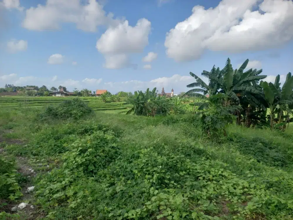 Disewakan Tanah Kavling Zona Pariwisata – Cocok Villa / Usaha | Kontrak Panjang hingga 45 Tahun