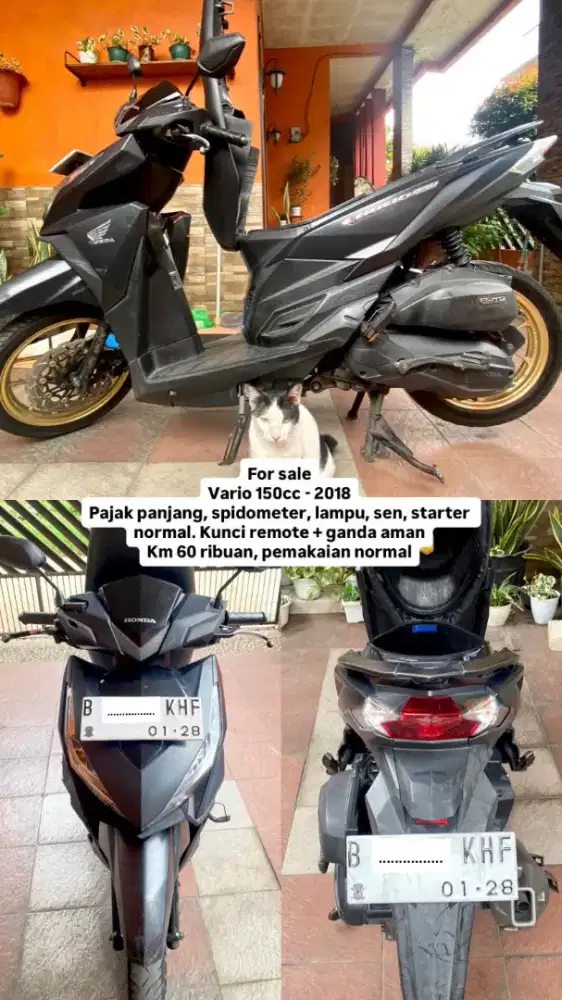 Vario 150 old 2018