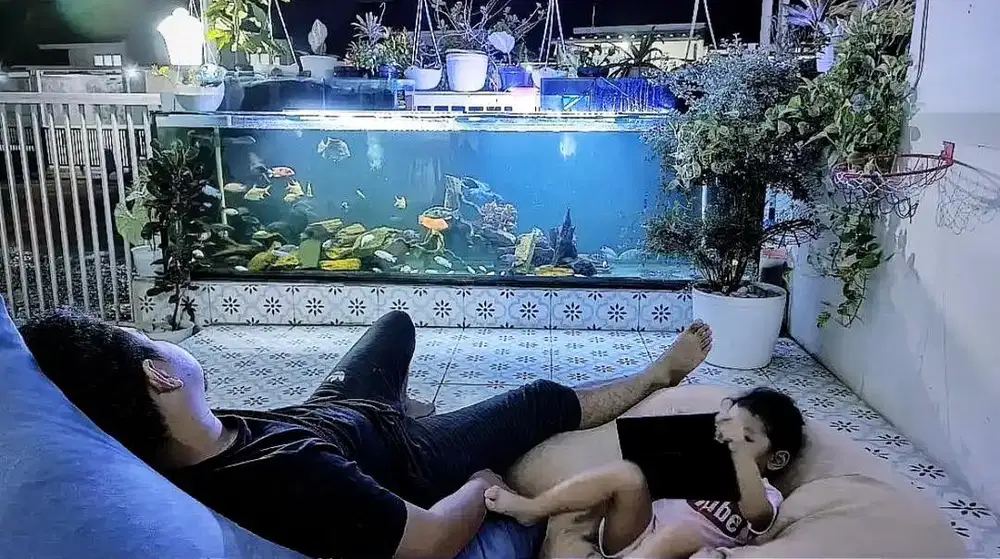 Aquarium besar ukuran 270x70x80 cm