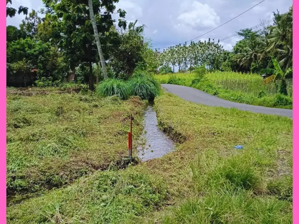 Tanah Jogja 2 MENIT SD BIAS KALIURANG SHMP