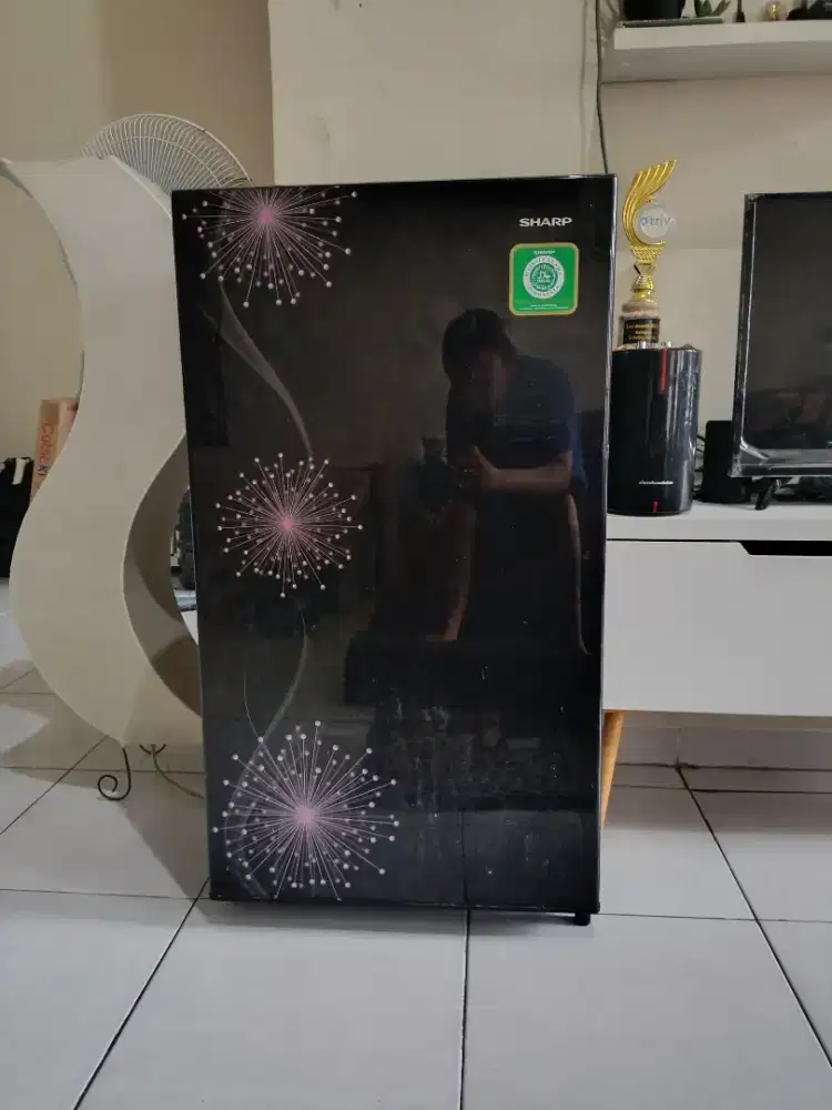 Kulkas SHARP 1 pintu SJ-195