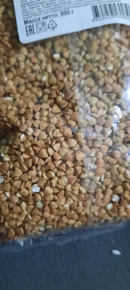 Russian buckwheat  ( nasi rusia)