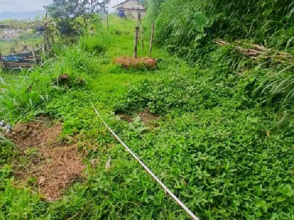 Tanah kosong 228 Meter di Padalarang, Bandung Barat Ref.05166