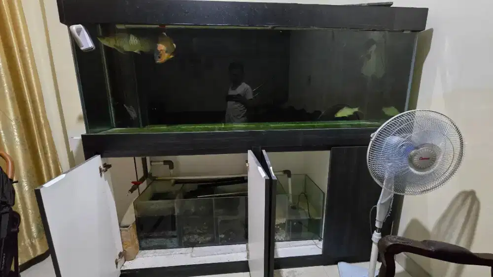 AQUARIUM BEKAS UKURAN 200 X 70CM